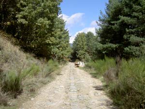 Camino del Puricelli