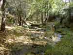 Arroyo Helecharón junto a puente de Santa Catalina (cerca de la ruta PR4)