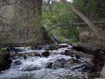 Río Guadarrama bajo el puente del Molino
