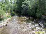 Río Lozoya a su paso por Rascafría