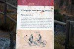 Necr�polis de Prioriato de San Frutos